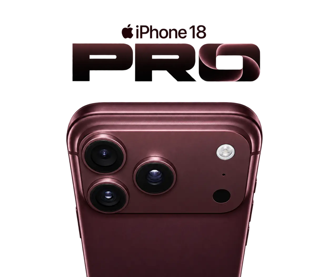 back image